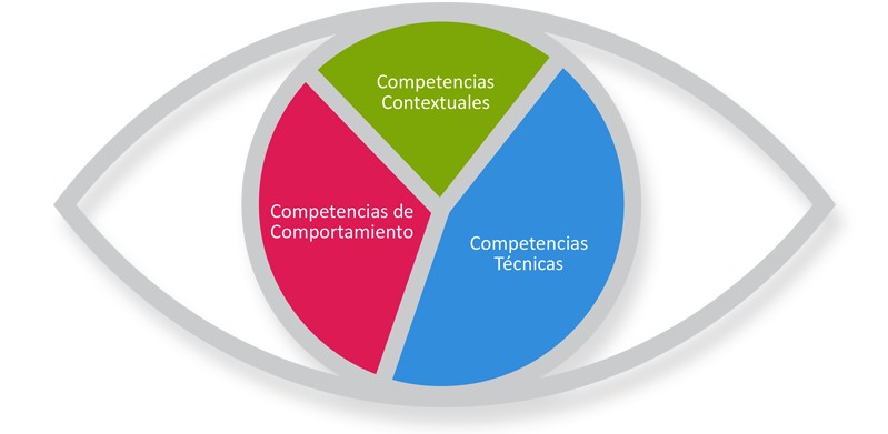 bases-competencia